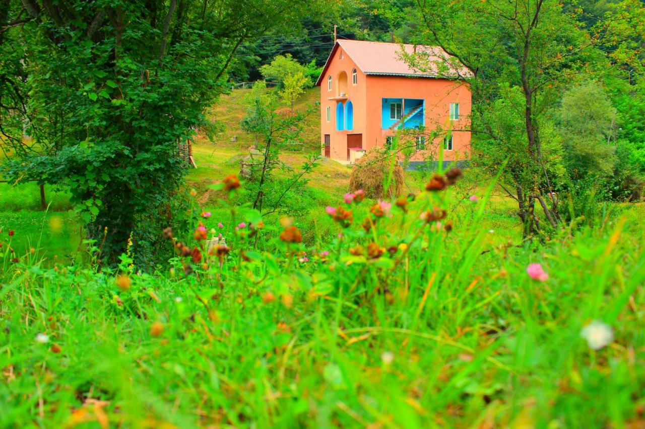 Guest House "Oasis" Khulo Kültér fotó